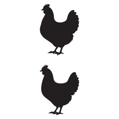 Fototapeta premium Stylish Chicken Silhouette Vector – Clean Black Poultry Illustration for Farm Branding and T-Shirt Design. Thank You 