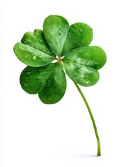 four leaf clover