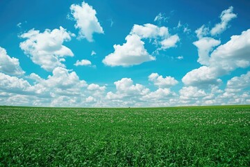 High Resolution of Beautiful Field Springtime Sky with Clouds Horizon Landscape