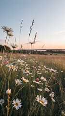 Wildflowers blooming in a meadow at sunset with gentle light and colors