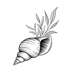 Elegant Seashell with Plant Sketch Black and White Illustration