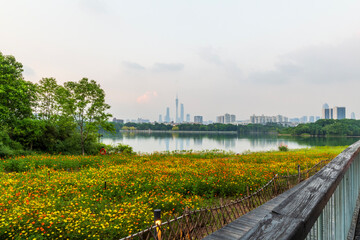 Obraz premium guangzhou skyline at sunset