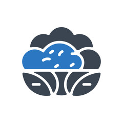 Cauliflower Icon