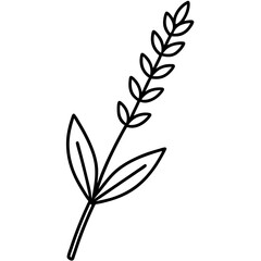 Simple line drawing of a lavender sprig