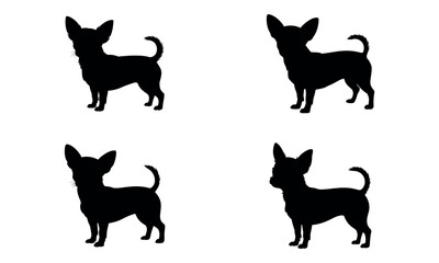 Black chihuahua dog silhouettes in different standing poses isolated on white
