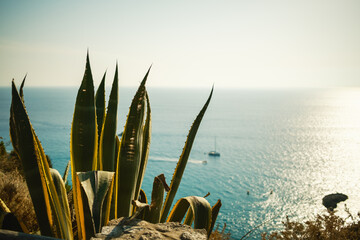 natural marine paradise in July