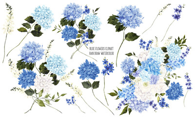 Hand draw watercolor flowers, blue hydrangea, wildflowers, herbs, chinese vase and motives, isolated on white background