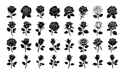 Collection of black rose flower silhouettes with different blooming stages in vector style
