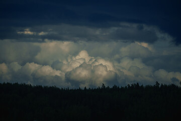 Set of rain clouds with heavenly sunlight highlighting them on top of a forest.