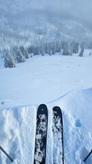 View from skis on snowy mountain with trees and fog in the distance on a cold day