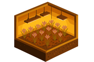 Indoor gardening setup with plants thriving under artificial lights in a small grow box