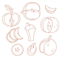 Outline Apples collection. Fruit cut, slice, half and piece. Linear hand drawings. Isolated food elements on white background. Vector illustration. Coloring Page, design, decoration and decor
