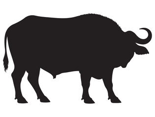 AFRICAN BUFFALO SILHOUETTE