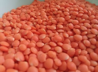 fresh healthy red lentils  on white background