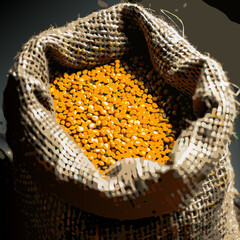 Yellow Lentils in Burlap Sack on Wooden Background

