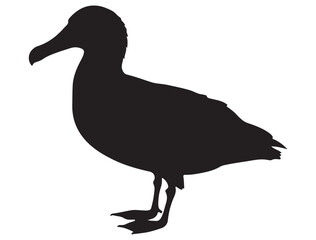 ALBATROSS BIRD SILHOUETTE