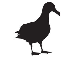 ALBATROSS BIRD SILHOUETTE
