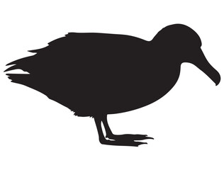 ALBATROSS BIRD SILHOUETTE