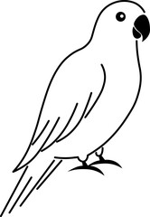 Parrot outline bird illustration perched simple line art minimalistic black and white tropical animal calm elegant isolated vector style peaceful nature wildlife exotic pet beak feather tail eye