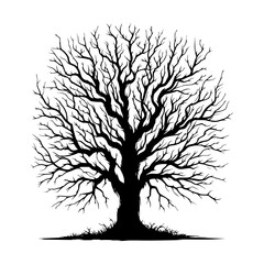 Obraz premium Bare tree silhouette winter nature illustration