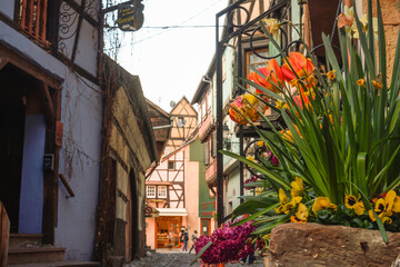 Typical old streets of Eguisteim