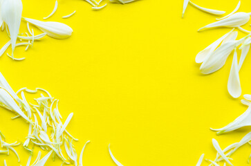 Minimal yellow floral frame with copy space for message or design