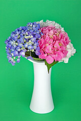 Hortensien in der Vase