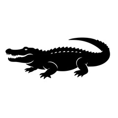 Fototapeta premium Black and white vector silhouette of a alligator on white background