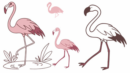 Naklejka premium Illustration showing multiple flamingos in different poses and colors standing on a white background art