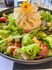 Croustillant de chèvre au miel et noix, salade verte et croûtons 