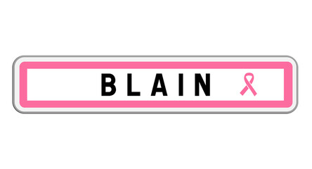 Panneau d'entrée Octobre Rose Blain, Loire-Atlantique, Pays de la Loire