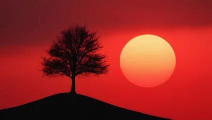 Fotobehang Silhouette of a bare tree on a hill against a vibrant red sunset landscape © Shafiqul