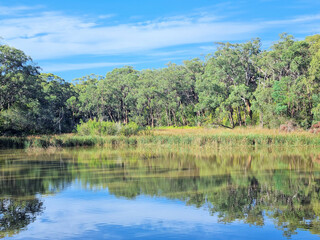 A lake surrounded by trees on the Edward Hunter Bush Reserve Moe Victoria. Reflections of the trees can be seen on the water.