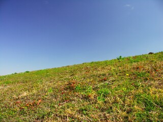 早春の若草生える江戸川土手と青空風景