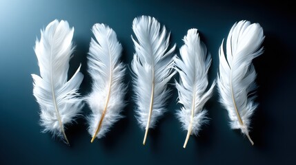 Obraz premium An elegant arrangement of five soft white feathers on a dark background, showcasing their intricate textures and gentle beauty for a serene and artistic touch.