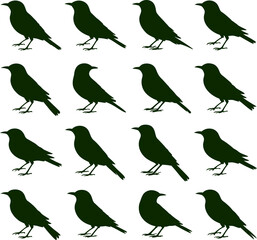 Obraz premium A repeating pattern of sixteen black bird silhouettes arranged in a grid on a white background