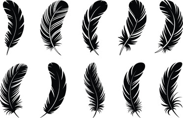 Elegant black feather silhouettes arranged beautifully on a clean white background for design purposes