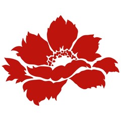 pattern with Beautiful flowers,floral On white background.