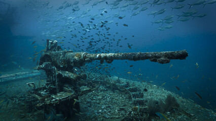 Underwater photography of a canon, gun at the united states military shipwreck HTMS Prab Wreck. From a scuba dive in Thailand.