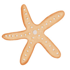 Ocean Animal Vector Watercolor with starfish,Shell and Coral under the Water Life,Illustration 