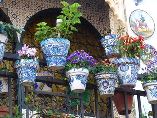 [Spain] Balcony with blue potted plants (the Albaicín, Granada)