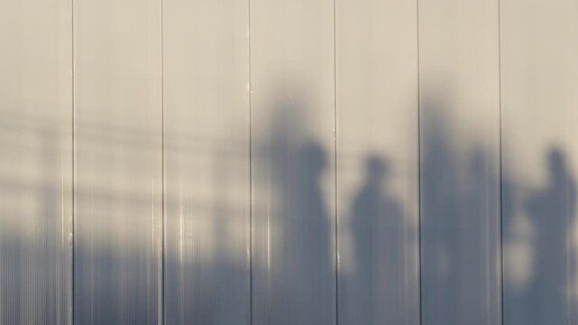 Shadows of people walking reflected on the wall.
