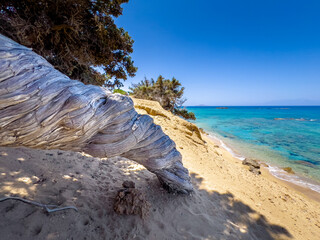The tropical and scenic nudist beach of Sarakiniko on Gavdos island, Greece.