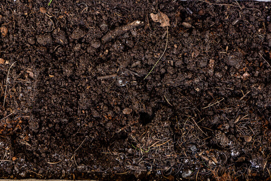 Dark Rich Organic Garden Soil Background Texture