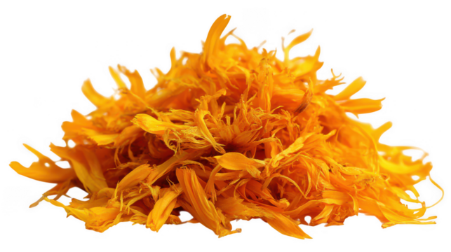 Dried marigold petals isolated on transparent background