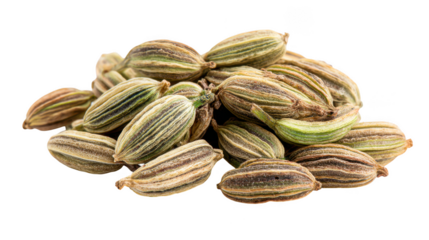 Caraway seeds isolated on transparent background