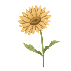 Naklejka premium yellow sunflower illustration