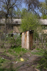 Old wooden outdoor toilet surrounded by overgrown vegetation and trees in rural area