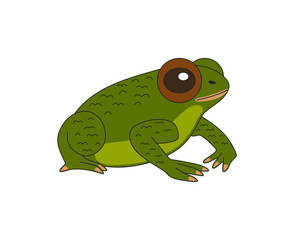 Cute little green frog with big eyes. Cartoon style.