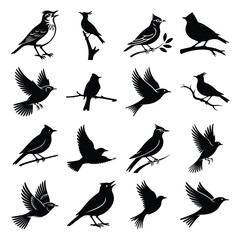 Skylark birds set stock silhouette clipart & vector art black